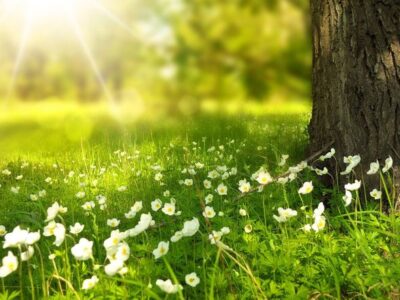 2075心和能量空間-台南 北區 臼井靈氣｜薩滿儀式 課程